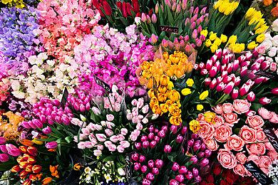 《城市：天际线》庆祝PC版发售10周年 史低一折优惠